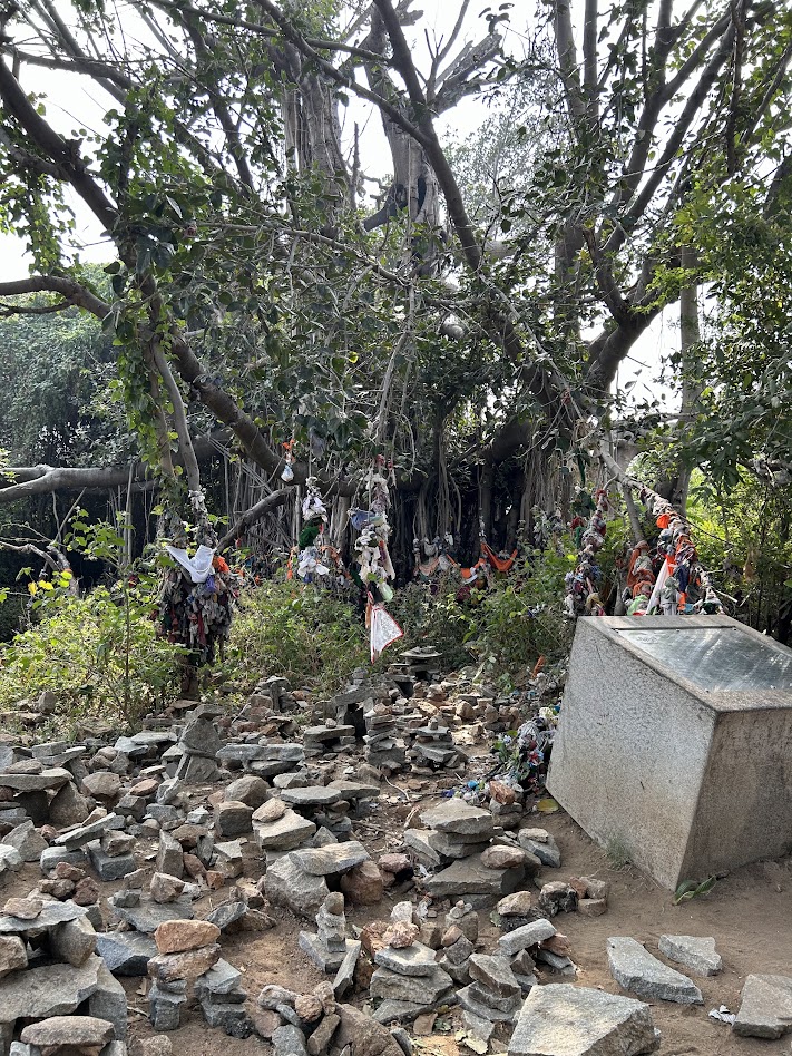 Wishing Tree